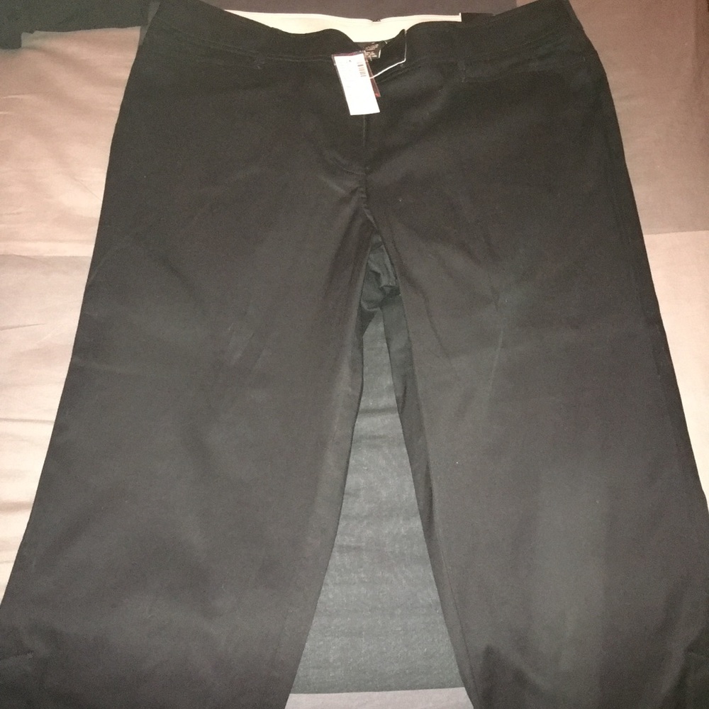 Dress Capri Pant.